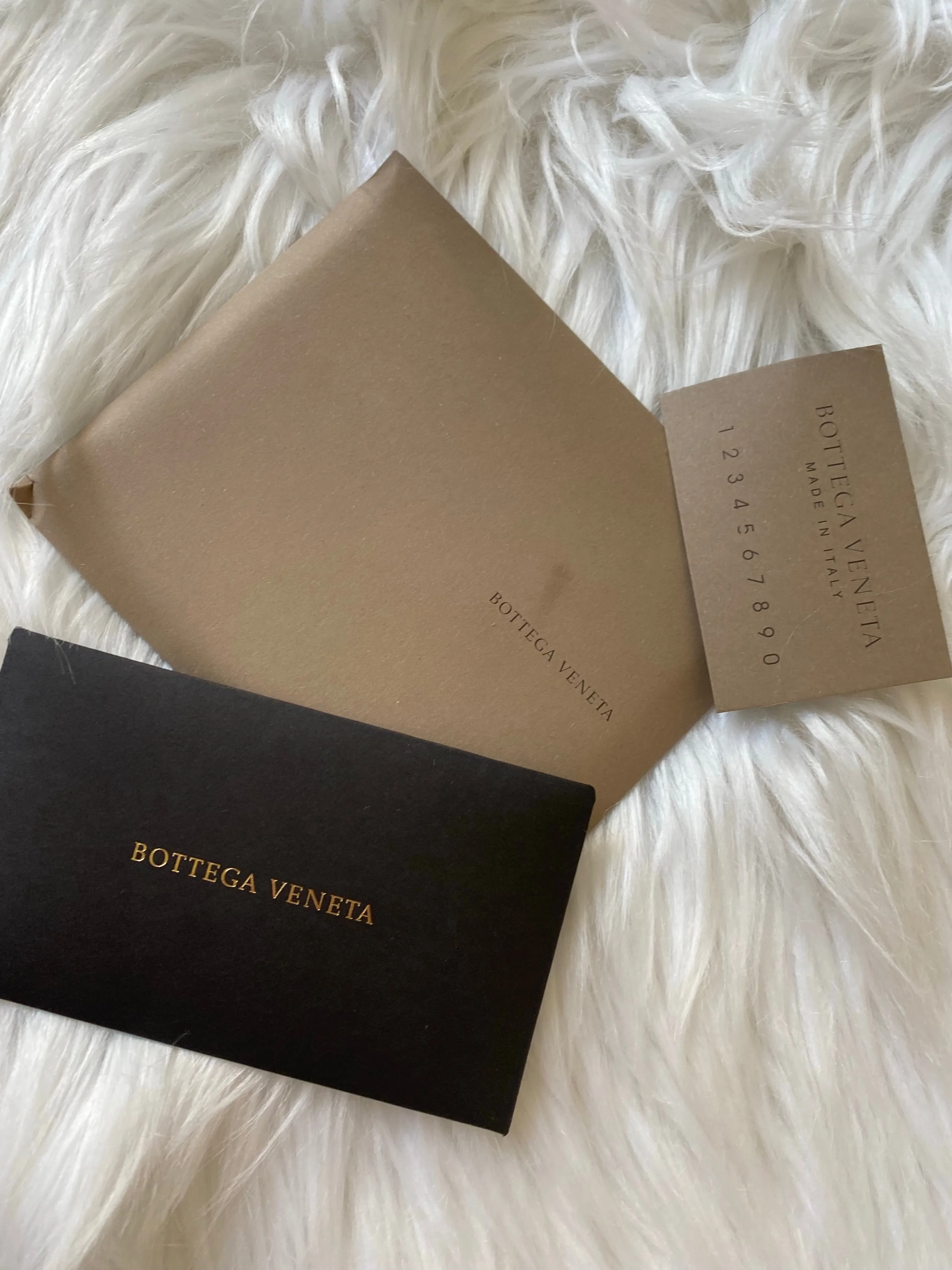 Bottega Veneta Nodini Bag