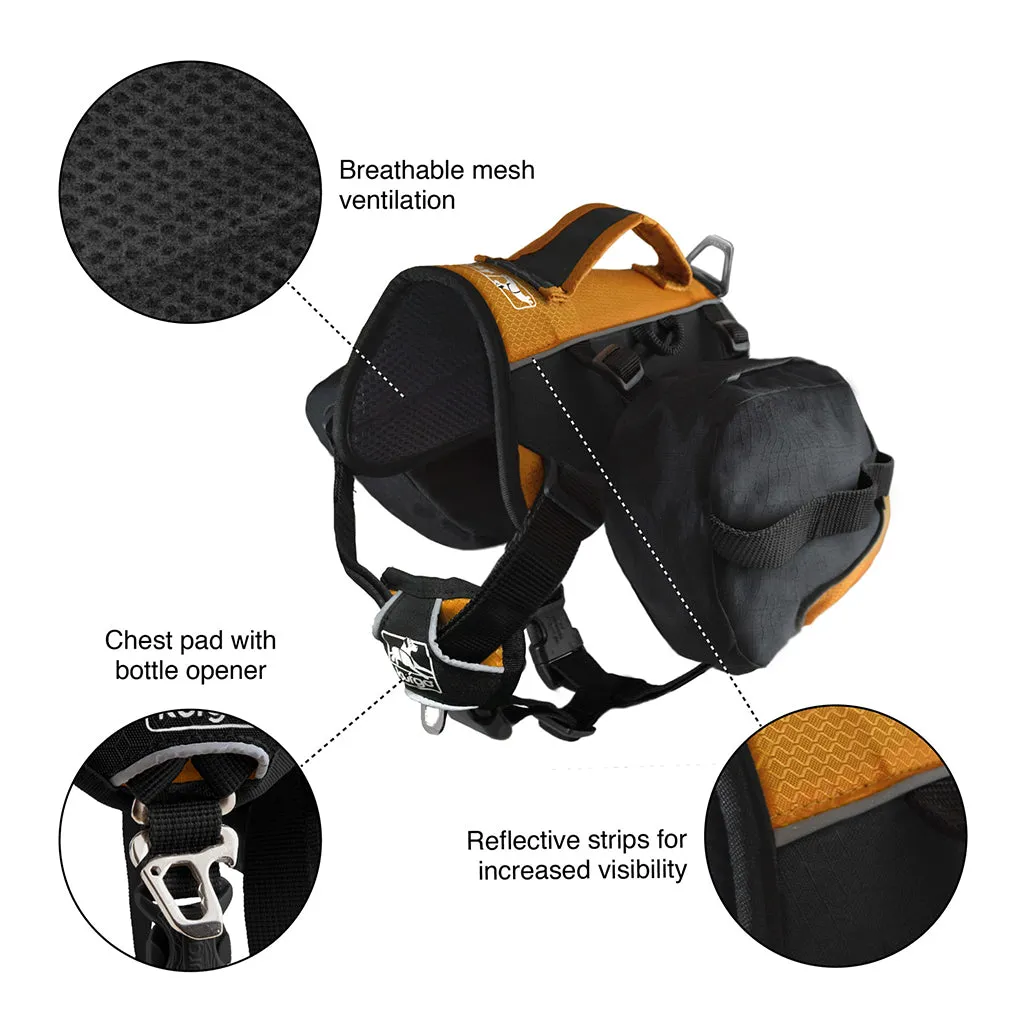 Kurgo Baxter Backpack