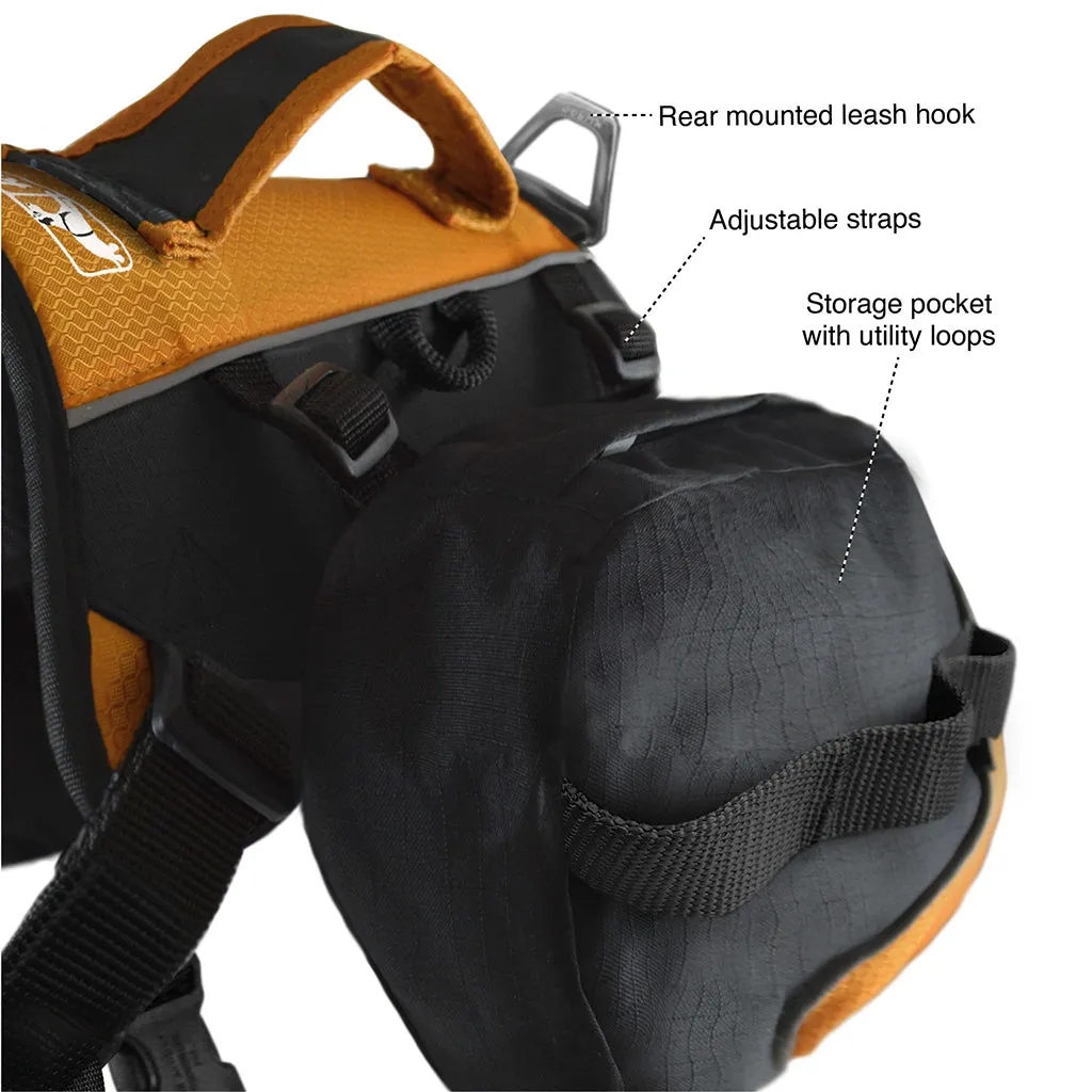 Kurgo Baxter Backpack